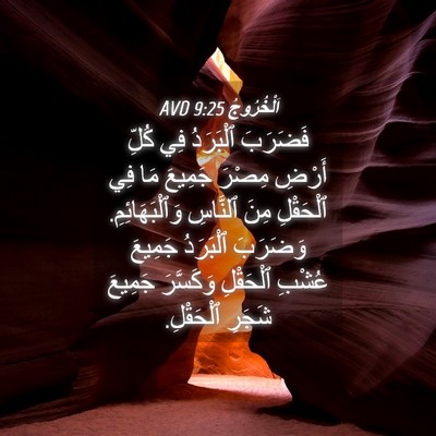 Picture 04 - اَلْخُرُوجُ 9:25 AVD - فَضَرَبَ ٱلْبَرَدُ فِي - Bible Verse Picture