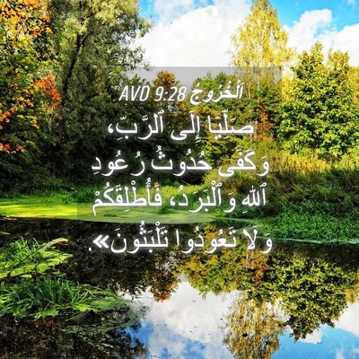 Picture 04 - اَلْخُرُوجُ 9:28 AVD - صَلِّيَا إِلَى ٱلرَّبِّ، - Bible Verse Picture