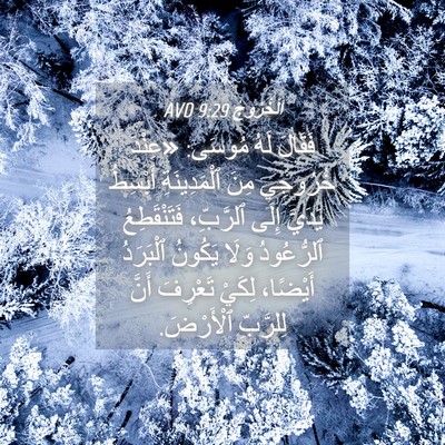 Picture 04 - اَلْخُرُوجُ 9:29 AVD - فَقَالَ لَهُ مُوسَى: - Bible Verse Picture