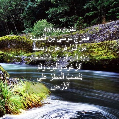 Picture 04 - اَلْخُرُوجُ 9:33 AVD - فَخَرَجَ مُوسَى مِنَ - Bible Verse Picture