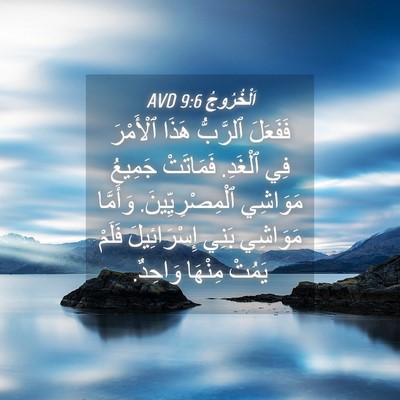 Picture 04 - اَلْخُرُوجُ 9:6 AVD - فَفَعَلَ ٱلرَّبُّ هَذَا - Bible Verse Picture