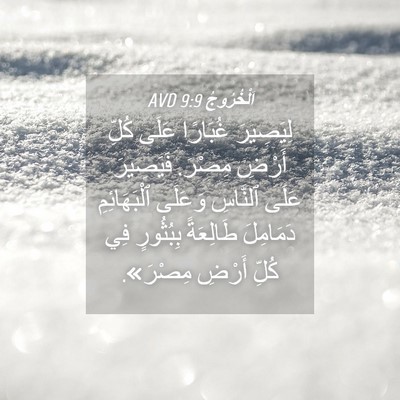 Picture 04 - اَلْخُرُوجُ 9:9 AVD - لِيَصِيرَ غُبَارًا عَلَى - Bible Verse Picture
