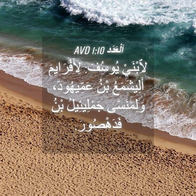 Picture 04 - اَلْعَدَد 1:10 AVD - لِٱبْنَيْ يُوسُفَ: - Bible Verse Picture