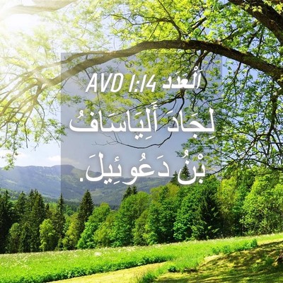Picture 04 - اَلْعَدَد 1:14 AVD - لِجَادَ أَلِيَاسَافُ بْنُ - Bible Verse Picture