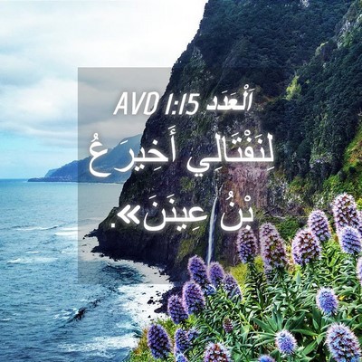 Picture 04 - اَلْعَدَد 1:15 AVD - لِنَفْتَالِي أَخِيرَعُ - Bible Verse Picture