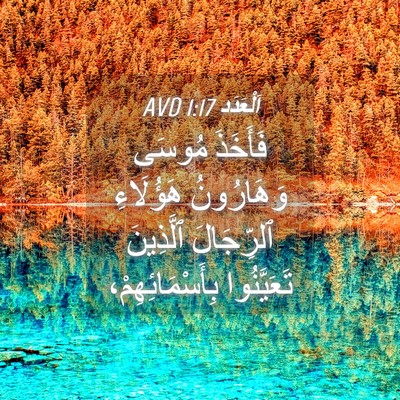 Picture 04 - اَلْعَدَد 1:17 AVD - فَأَخَذَ مُوسَى - Bible Verse Picture
