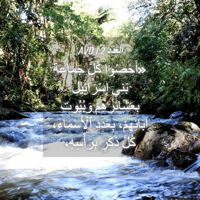 Picture 04 - اَلْعَدَد 1:2 AVD - «أَحْصُوا كُلَّ جَمَاعَةِ - Bible Verse Picture