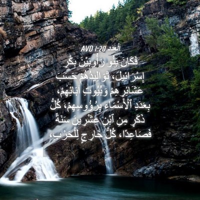 Picture 04 - اَلْعَدَد 1:20 AVD - فَكَانَ بَنُو رَأُوبَيْنَ - Bible Verse Picture