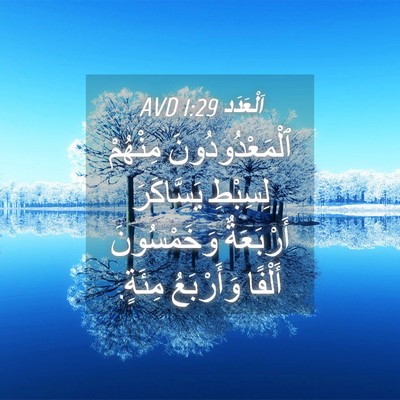 Picture 04 - اَلْعَدَد 1:29 AVD - ٱلْمَعْدُودُونَ مِنْهُمْ - Bible Verse Picture