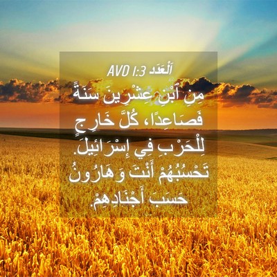 Picture 04 - اَلْعَدَد 1:3 AVD - مِنِ ٱبْنِ عِشْرِينَ - Bible Verse Picture