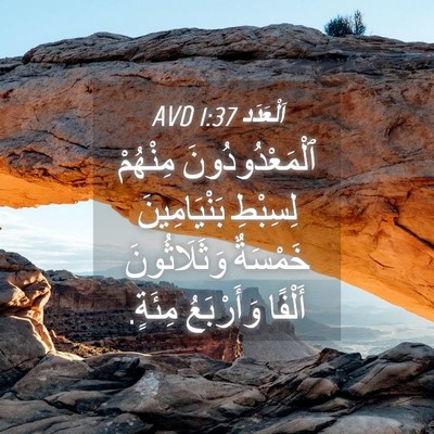 Picture 04 - اَلْعَدَد 1:37 AVD - ٱلْمَعْدُودُونَ مِنْهُمْ - Bible Verse Picture