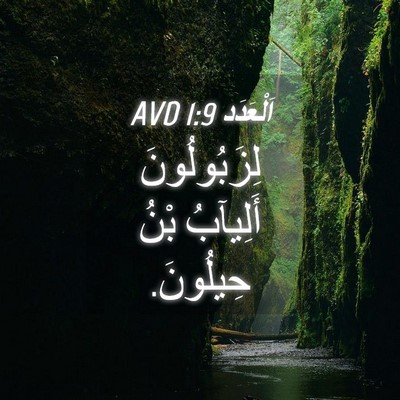 Picture 04 - اَلْعَدَد 1:9 AVD - لِزَبُولُونَ أَلِيآبُ - Bible Verse Picture