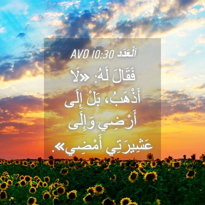 Picture 04 - اَلْعَدَد 10:30 AVD - فَقَالَ لَهُ: «لَا - Bible Verse Picture