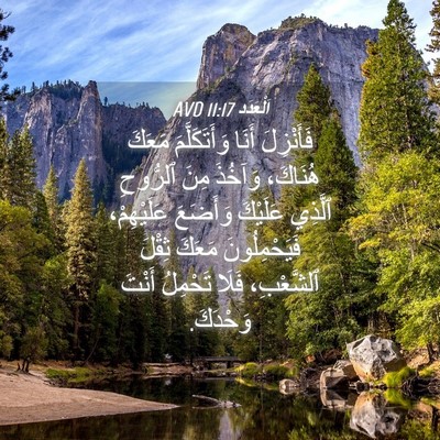 Picture 04 - اَلْعَدَد 11:17 AVD - فَأَنْزِلَ أَنَا - Bible Verse Picture