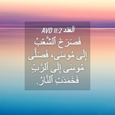 Picture 04 - اَلْعَدَد 11:2 AVD - فَصَرَخَ ٱلشَّعْبُ إِلَى - Bible Verse Picture