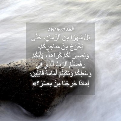Picture 04 - اَلْعَدَد 11:20 AVD - بَلْ شَهْرًا مِنَ - Bible Verse Picture