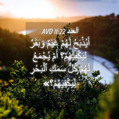 Picture 04 - اَلْعَدَد 11:22 AVD - أَيُذْبَحُ لَهُمْ غَنَمٌ - Bible Verse Picture