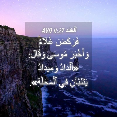 Picture 04 - اَلْعَدَد 11:27 AVD - فَرَكَضَ غُلَامٌ - Bible Verse Picture