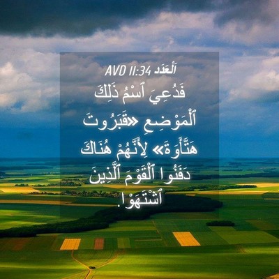 Picture 04 - اَلْعَدَد 11:34 AVD - فَدُعِيَ ٱسْمُ ذَلِكَ - Bible Verse Picture