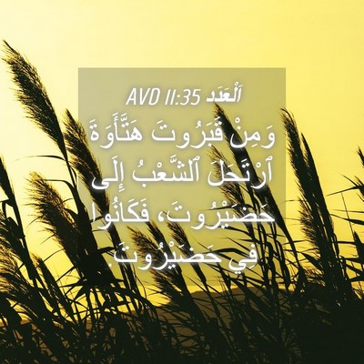 Picture 04 - اَلْعَدَد 11:35 AVD - وَمِنْ قَبَرُوتَ - Bible Verse Picture