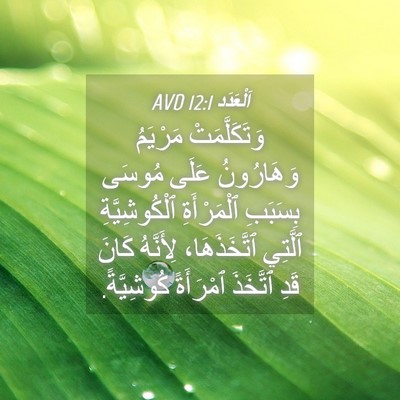Picture 04 - اَلْعَدَد 12:1 AVD - وَتَكَلَّمَتْ مَرْيَمُ - Bible Verse Picture
