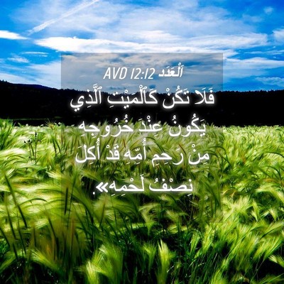Picture 04 - اَلْعَدَد 12:12 AVD - فَلَا تَكُنْ كَٱلْمَيْتِ - Bible Verse Picture