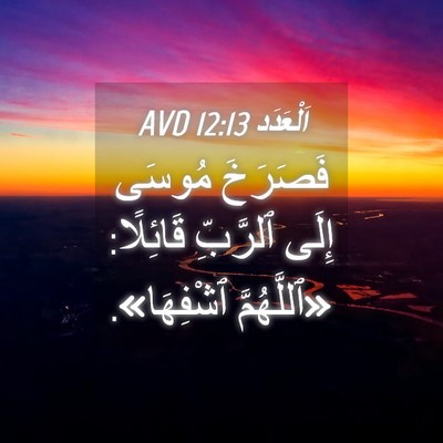 Picture 04 - اَلْعَدَد 12:13 AVD - فَصَرَخَ مُوسَى إِلَى - Bible Verse Picture