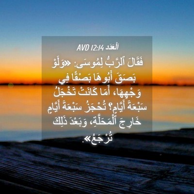 Picture 04 - اَلْعَدَد 12:14 AVD - فَقَالَ ٱلرَّبُّ لِمُوسَى: - Bible Verse Picture