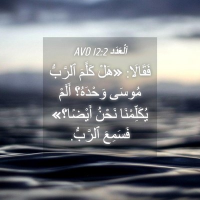Picture 04 - اَلْعَدَد 12:2 AVD - فَقَالَا: «هَلْ كَلَّمَ - Bible Verse Picture