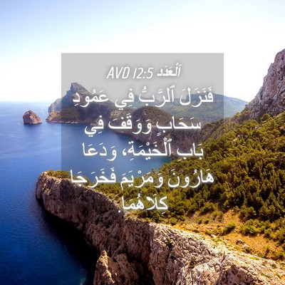 Picture 04 - اَلْعَدَد 12:5 AVD - فَنَزَلَ ٱلرَّبُّ فِي - Bible Verse Picture