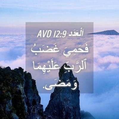 Picture 04 - اَلْعَدَد 12:9 AVD - فَحَمِيَ غَضَبُ ٱلرَّبِّ - Bible Verse Picture
