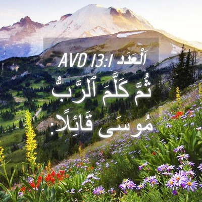 Picture 04 - اَلْعَدَد 13:1 AVD - ثُمَّ كَلَّمَ ٱلرَّبُّ - Bible Verse Picture