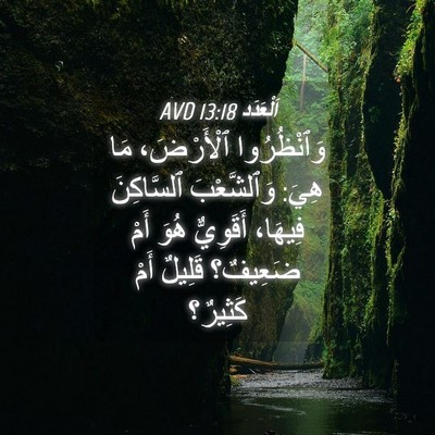 Picture 04 - اَلْعَدَد 13:18 AVD - وَٱنْظُرُوا ٱلْأَرْضَ، - Bible Verse Picture