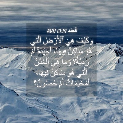 Picture 04 - اَلْعَدَد 13:19 AVD - وَكَيْفَ هِيَ ٱلْأَرْضُ - Bible Verse Picture