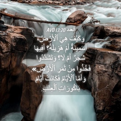 Picture 04 - اَلْعَدَد 13:20 AVD - وَكَيْفَ هِيَ ٱلْأَرْضُ، - Bible Verse Picture