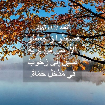 Picture 04 - اَلْعَدَد 13:21 AVD - فَصَعِدُوا وَتَجَسَّسُوا - Bible Verse Picture