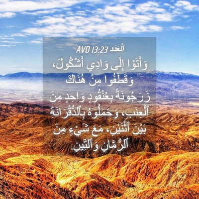 Picture 04 - اَلْعَدَد 13:23 AVD - وَأَتَوْا إِلَى وَادِي - Bible Verse Picture