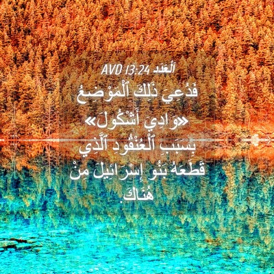 Picture 04 - اَلْعَدَد 13:24 AVD - فَدُعِيَ ذَلِكَ - Bible Verse Picture