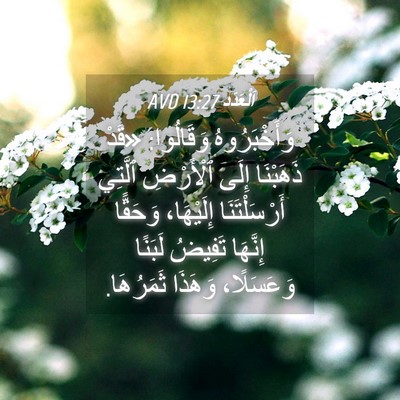 Picture 04 - اَلْعَدَد 13:27 AVD - وَأَخْبَرُوهُ وَقَالُوا: - Bible Verse Picture