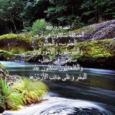 Picture 04 - اَلْعَدَد 13:29 AVD - ٱلْعَمَالِقَةُ سَاكِنُونَ - Bible Verse Picture