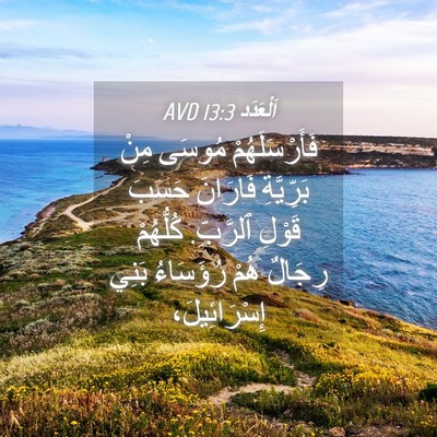 Picture 04 - اَلْعَدَد 13:3 AVD - فَأَرْسَلَهُمْ مُوسَى - Bible Verse Picture
