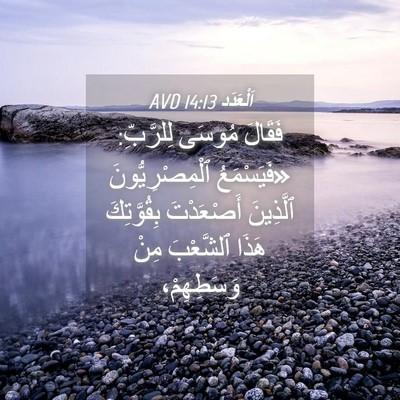 Picture 04 - اَلْعَدَد 14:13 AVD - فَقَالَ مُوسَى لِلرَّبِّ: - Bible Verse Picture