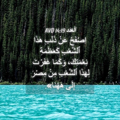 Picture 04 - اَلْعَدَد 14:19 AVD - اِصْفَحْ عَنْ ذَنْبِ هَذَا - Bible Verse Picture