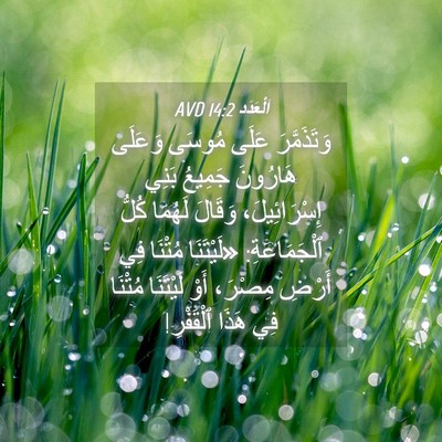 Picture 04 - اَلْعَدَد 14:2 AVD - وَتَذَمَّرَ عَلَى مُوسَى - Bible Verse Picture
