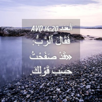 Picture 04 - اَلْعَدَد 14:20 AVD - فَقَالَ ٱلرَّبُّ: «قَدْ - Bible Verse Picture