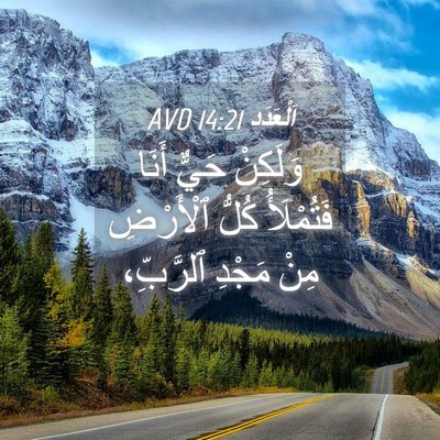 Picture 04 - اَلْعَدَد 14:21 AVD - وَلَكِنْ حَيٌّ أَنَا - Bible Verse Picture