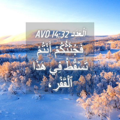 Picture 04 - اَلْعَدَد 14:32 AVD - فَجُثَثُكُمْ أَنْتُمْ - Bible Verse Picture