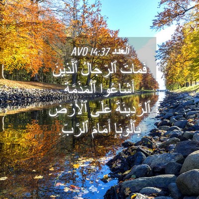 Picture 04 - اَلْعَدَد 14:37 AVD - فَمَاتَ ٱلرِّجَالُ - Bible Verse Picture