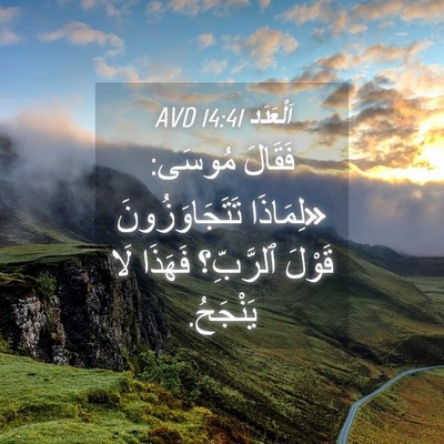 Picture 04 - اَلْعَدَد 14:41 AVD - فَقَالَ مُوسَى: «لِمَاذَا - Bible Verse Picture