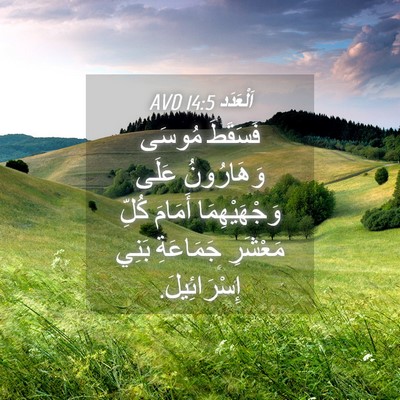 Picture 04 - اَلْعَدَد 14:5 AVD - فَسَقَطَ مُوسَى - Bible Verse Picture
